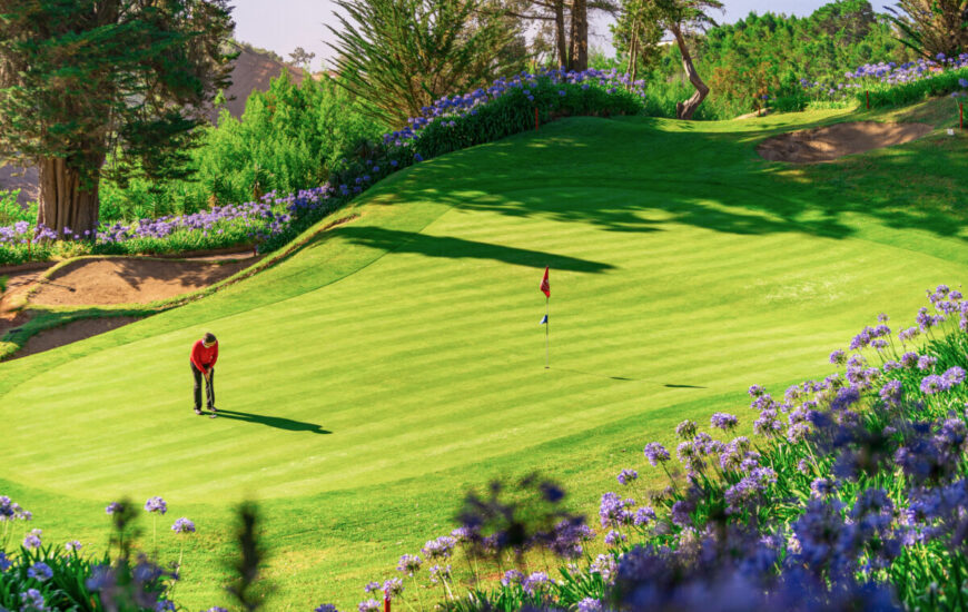Palheiro Golf