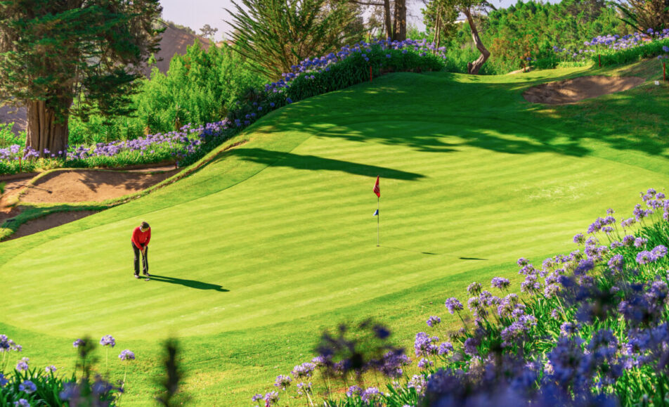 Palheiro Golf
