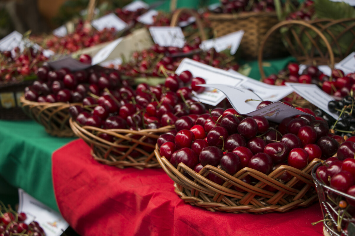 Cherry's Fest